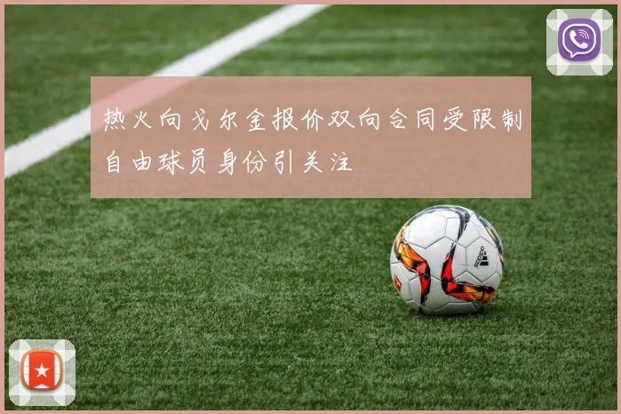 热火向戈尔金报价双向合同受限制自由球员身份引关注