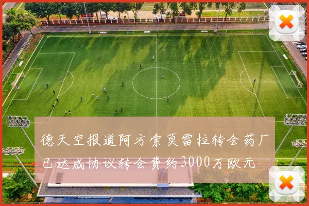 德天空报道阿方索莫雷拉转会药厂已达成协议转会费约3000万欧元